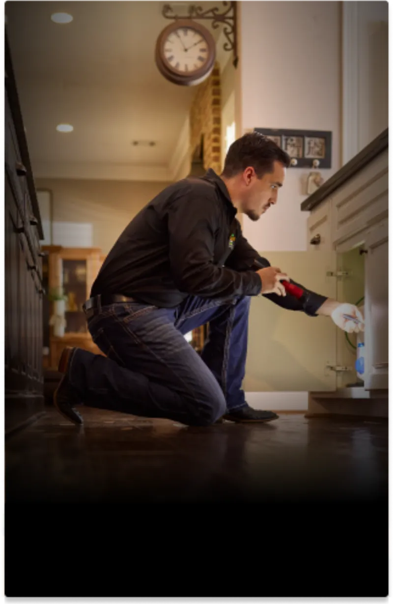 Interior inspection