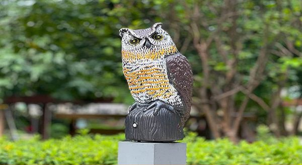 a decoy bird in the form of an owl