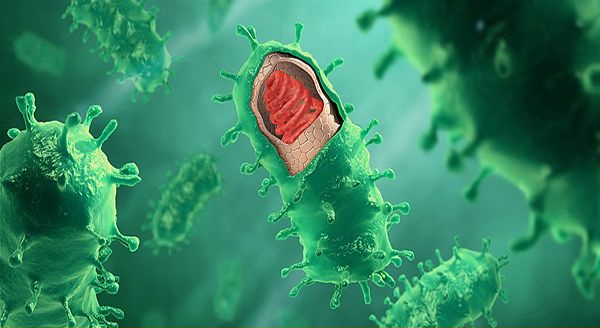 rabies microscopic animated image