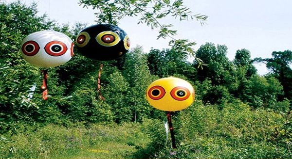 three scare eye balloon